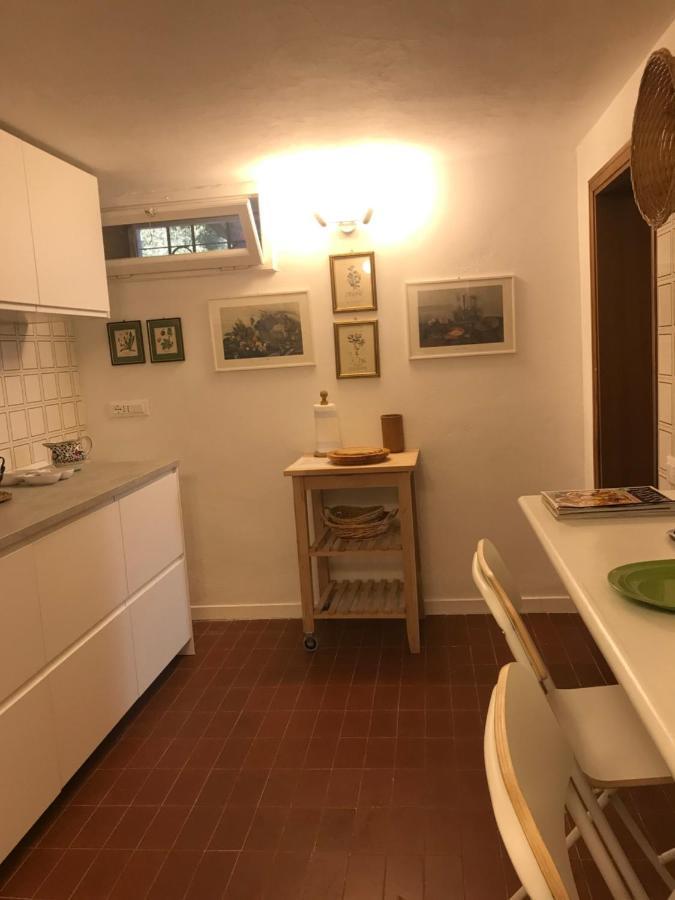 Campo Al Cerro Apartamento Bolgheri Exterior foto