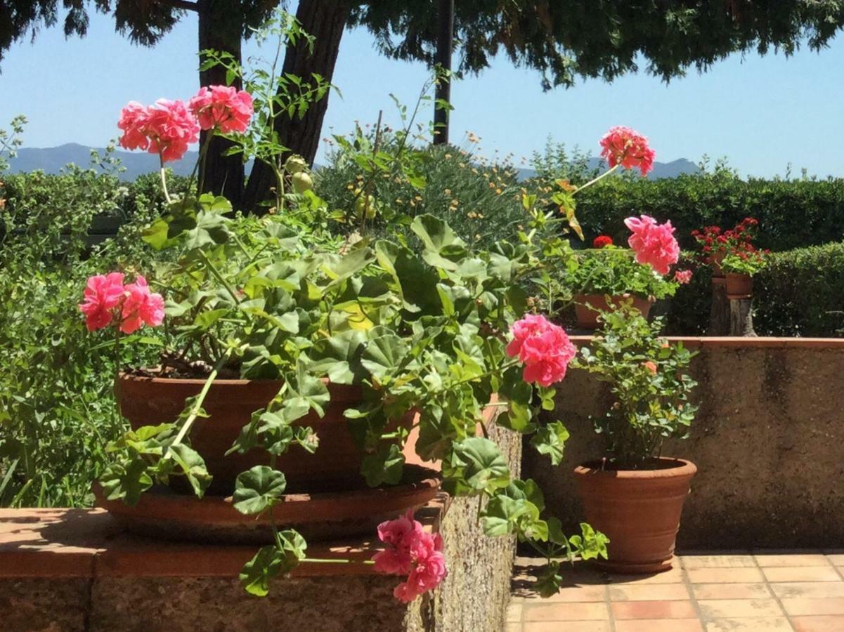 Campo Al Cerro Apartamento Bolgheri Exterior foto